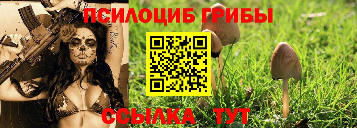 Псилоцибиновые грибы мицелий  Вход с VPN  где продают наркотики  Лосино-Петровский 