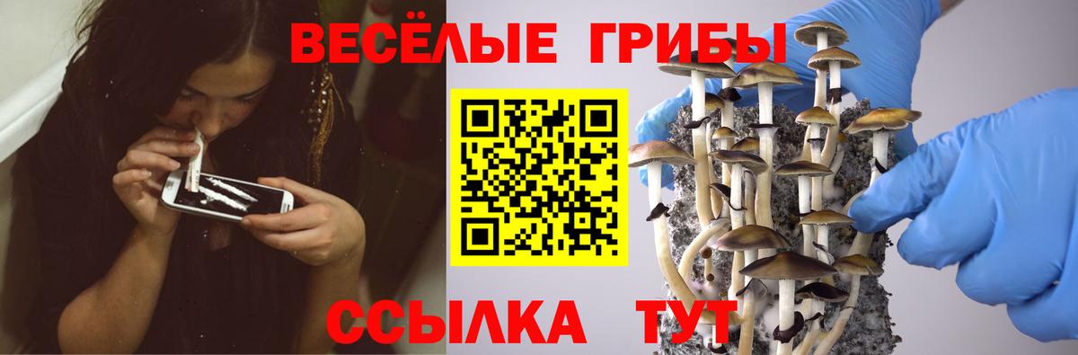 Галлюциногенные грибы прущие грибы Лосино-Петровский